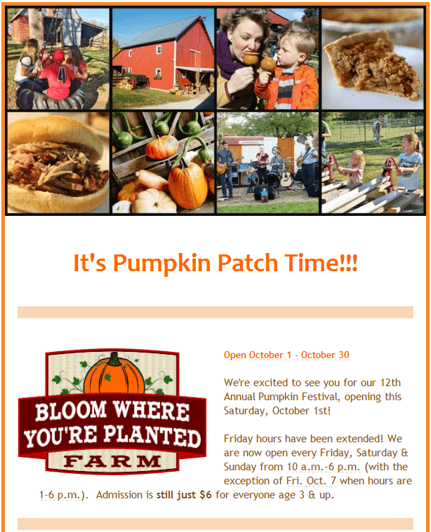 Pumpkin patch1