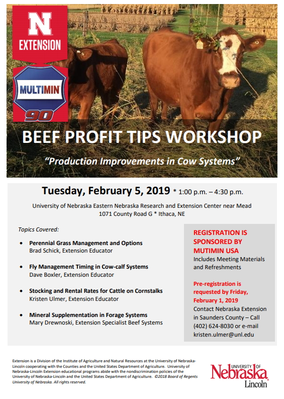 Beef Workshop