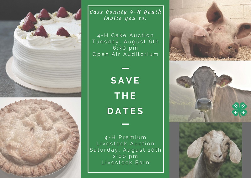 Cake Livestock Auction