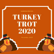 turkey trot elmwood
